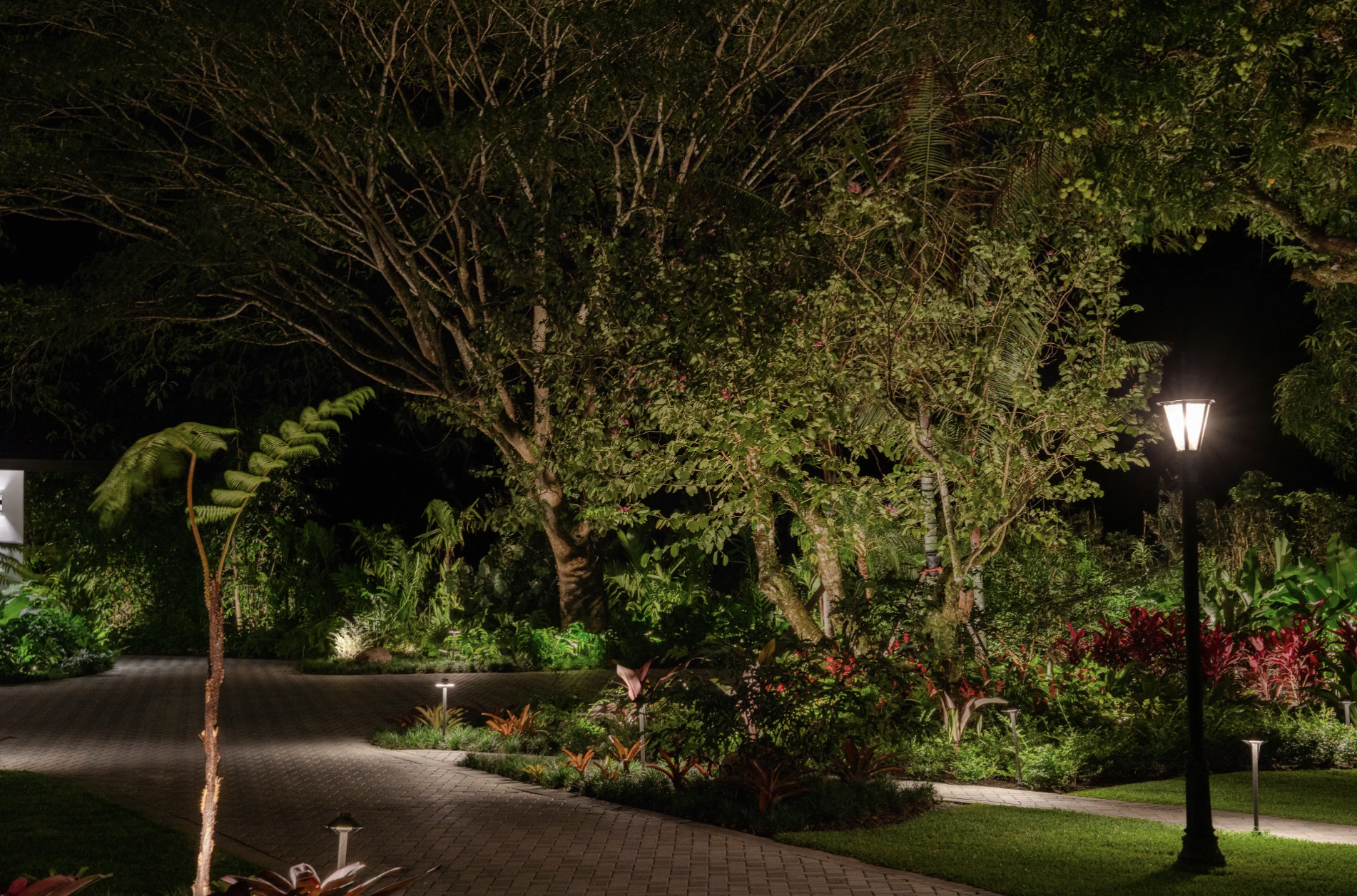 Residencia RD | Landscape